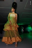 Aarti Chabriya Launches Osadia Garden City Logo